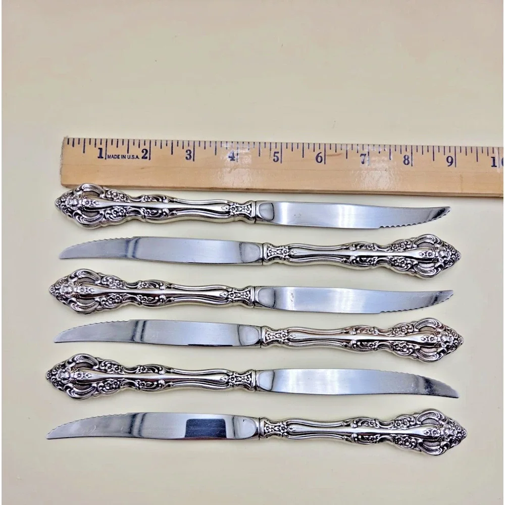 Oneida michelangelo stainless